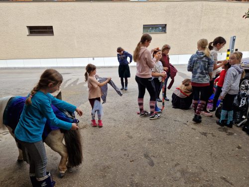 485007025 1148356277086893 8977542257086922428 n