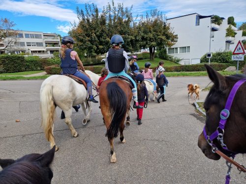 485090289 1148356357086885 7901691156627265134 n