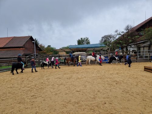 485129891 1148356407086880 3915645504436484717 n