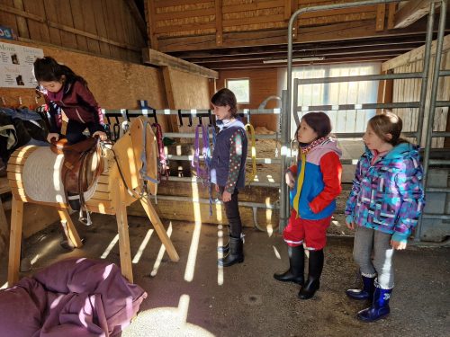 485147425 1148356587086862 6810494366263589494 n