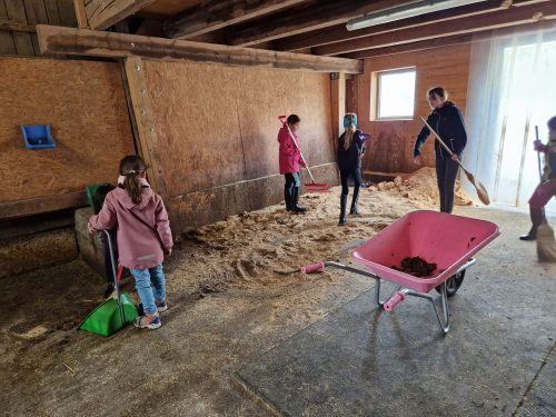 485803708 1148356727086848 4696566002682297826 n