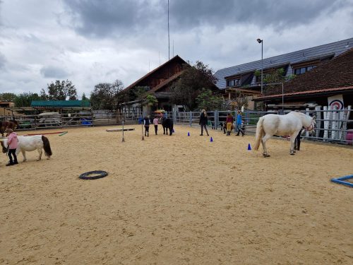 484501106 1148357470420107 1802113050337029013 n