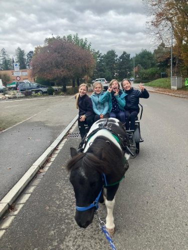 484857397 1148356713753516 4952534117316434590 n