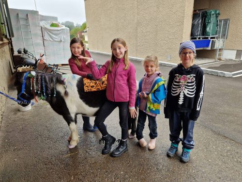 484960277 1148357490420105 781517880621794973 n