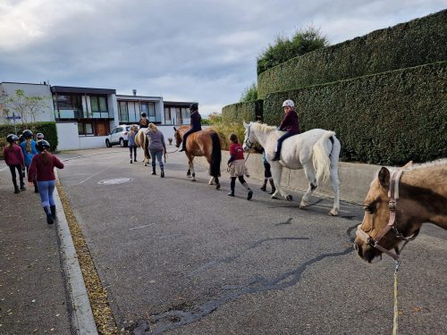 485000615 1148357500420104 4225402315498848199 n