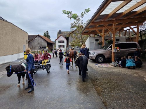 485008086 1148357407086780 3530497966905708717 n