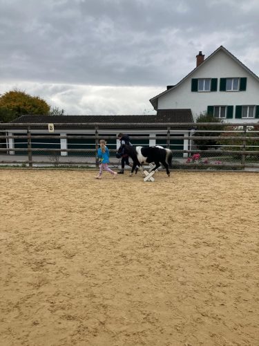 485128681 1148356533753534 2088573468316645022 n