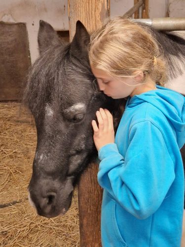 485800072 1148356563753531 1288751081254344148 n