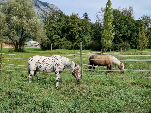 484842695 1148356473753540 7385787861688876622 n