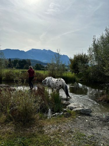 485005212 1148356667086854 6843385891075703620 n