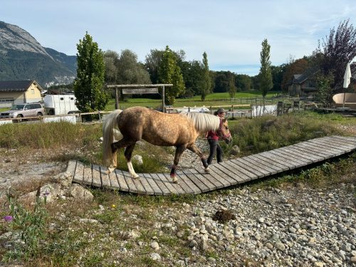 485006598 1148356327086888 8420128942457751567 n