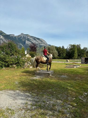 485150677 1148356657086855 6871727949238256880 n