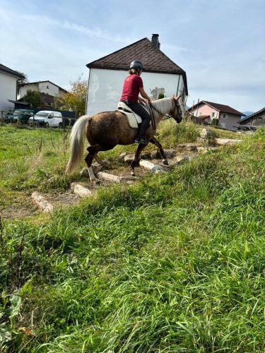 485360978 1148356683753519 2451488627289159778 n