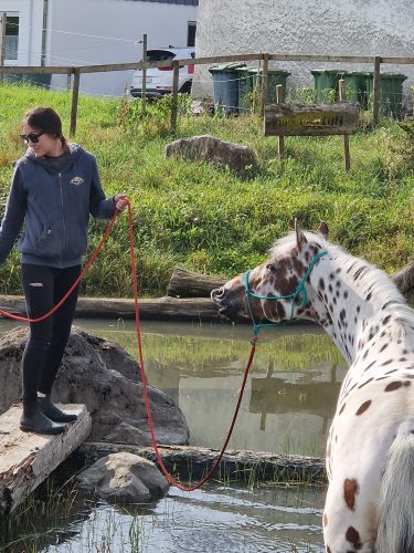 485424156 1148356620420192 6354606622267013640 n