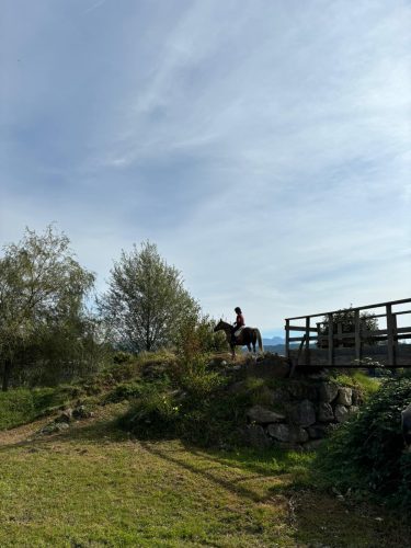 485957263 1148356720420182 7752488286287792426 n