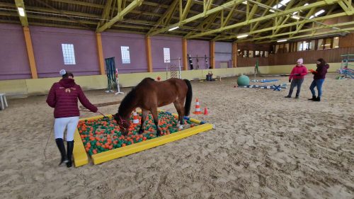 484979187 1148358843753303 6511867209609686880 n