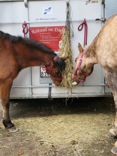 484981870 1148358500420004 1662479999868842497 n