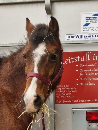 484995517 1148358423753345 9019431732049118526 n