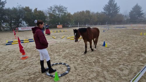 485018064 1148358453753342 2517732008786628917 n