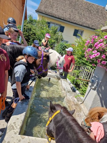 484302288 1147176340538220 1823189465319521542 n