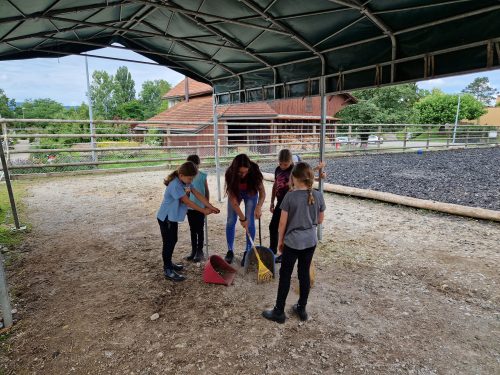 484310749 1147176357204885 2606938510522543904 n