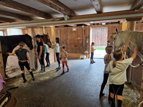 484534764 1147176487204872 3343706011302556237 n