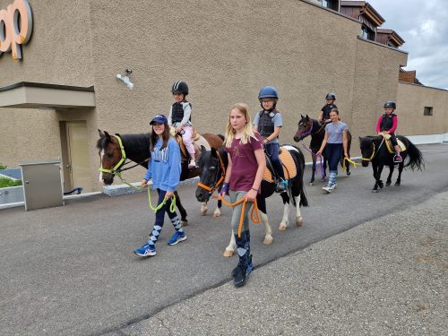 484654731 1147176597204861 5618240046708902606 n