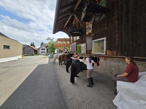 484783626 1147176577204863 930990271704704625 n