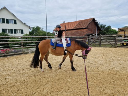 484990329 1147176567204864 1413706761285870321 n