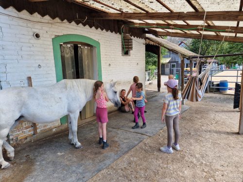 485066024 1147177557204765 3703798180113520879 n