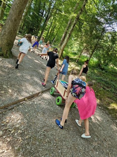 485147017 1147177513871436 54637007973376956 n