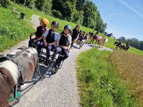 485158848 1147177540538100 3765798990359910529 n