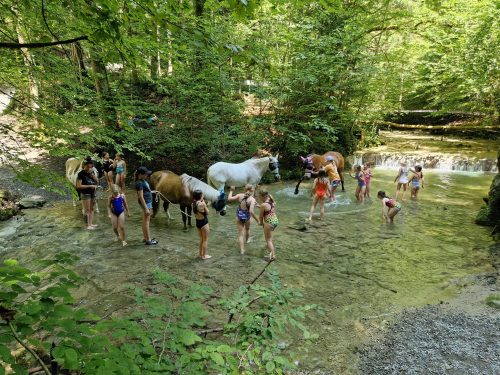 485166334 1147176407204880 6275367414943670130 n