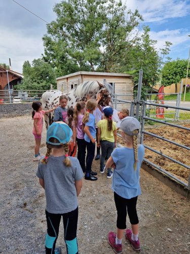 485388284 1147176523871535 7465205083917783293 n