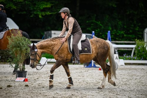 Working Equitation Grüningen 24