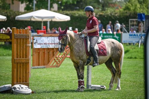 Working Equitation Uster