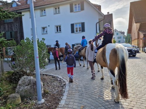 569893035 1326516289270890 1731688235181751545 n