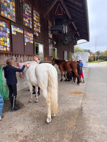 570949858 1326517109270808 1305474585986779393 n