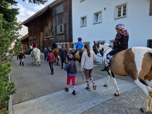 570965995 1326516325937553 878259865659514459 n