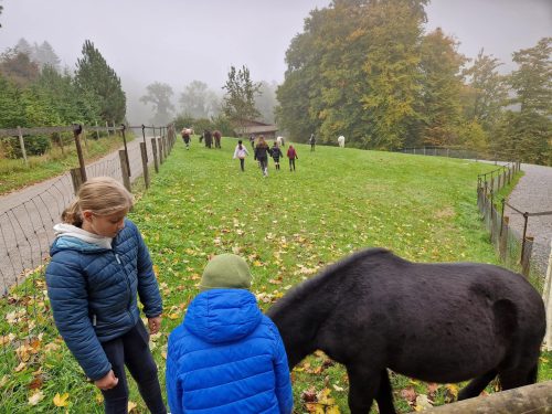 571131023 1326514765937709 3401780943313187492 n