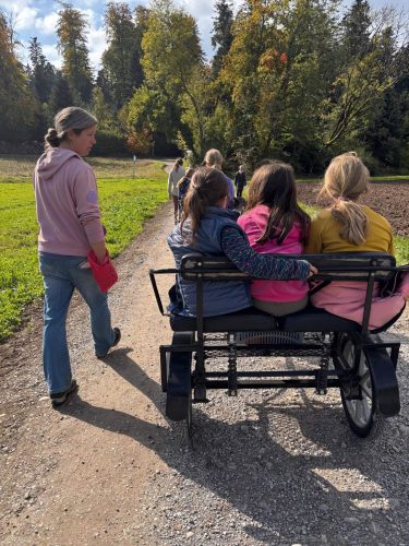 571162374 1326517439270775 1912540865846806020 n