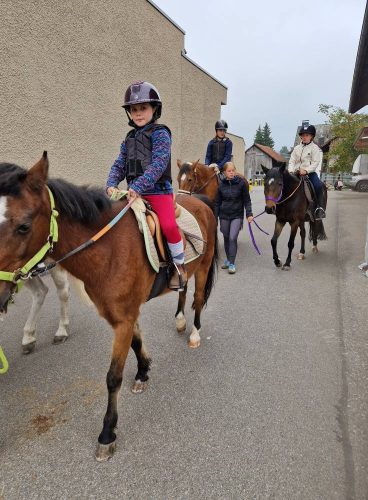 571201195 1326511535938032 8718582345321887160 n