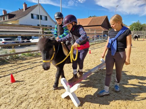 571259420 1326514559271063 4706894169497481456 n