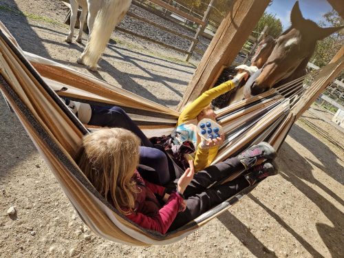 571355962 1326516849270834 5396856929411212486 n