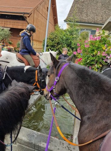 572009048 1326510209271498 4101933482746978577 n