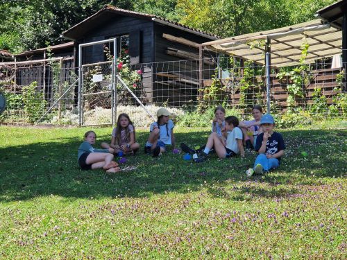 553967532 1298753295380523 5691369892777282850 n