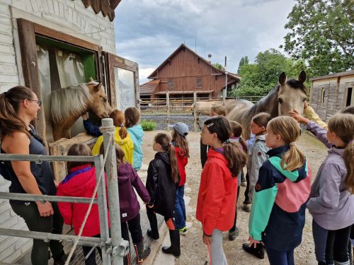 554660072 1298751045380748 444279939167803001 n