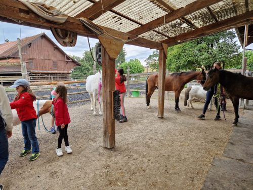 555440899 1298750542047465 9042567208342091778 n