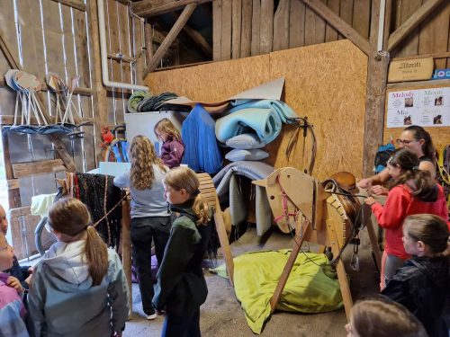 555449804 1298751075380745 3234772416218143318 n