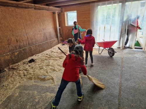 555467947 1298750498714136 786550876582804967 n